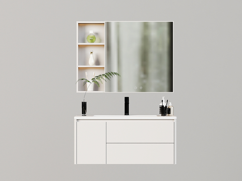 Modern sink mirror cabinet