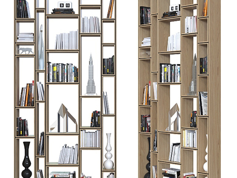 Modern Bookcase Showcase