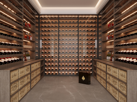 Modern Wine Cellar