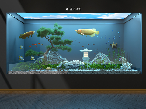 Ecological fish tank aquarium