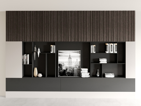 Modern Bookcase Showcase