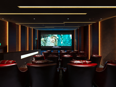 Modern Cinema Video Room Recreation Hall