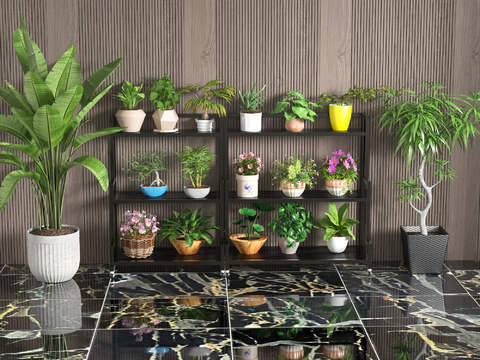 potted green plant flower stand