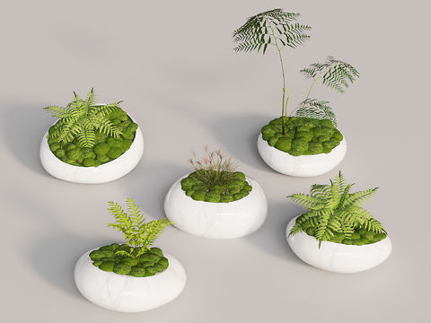 potted moss bonsai plant ornaments