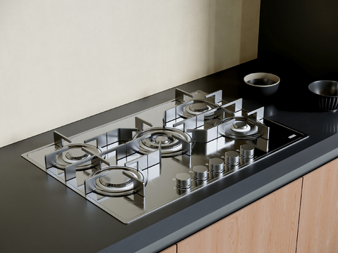 Stainless steel gas stove