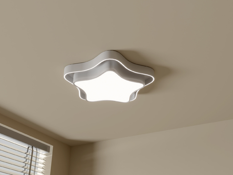 modern ceiling lamp