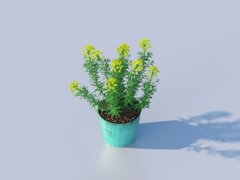 flowerpot potted plant green plant