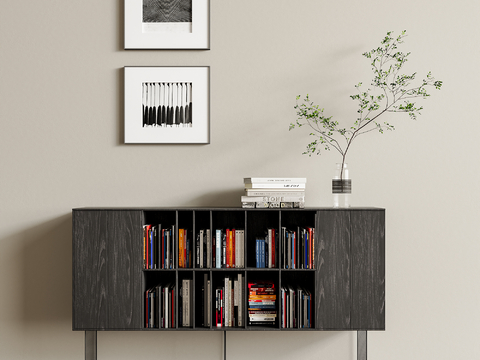 Modern low bookcase bookshelf