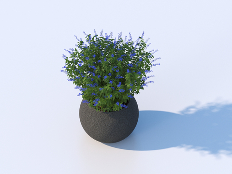 flowerpot potted plant green plant