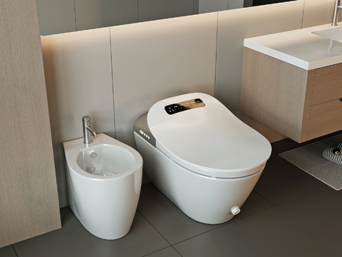 Modern Smart Toilet Toilet