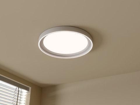 Modern Ceiling Lamp Round Ceiling Lamp