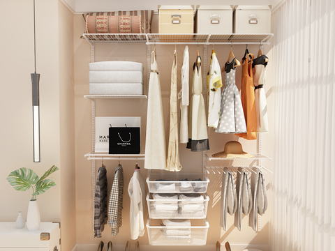 Modern walk-in closet