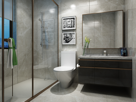 Modern Simple Toilet Bathroom