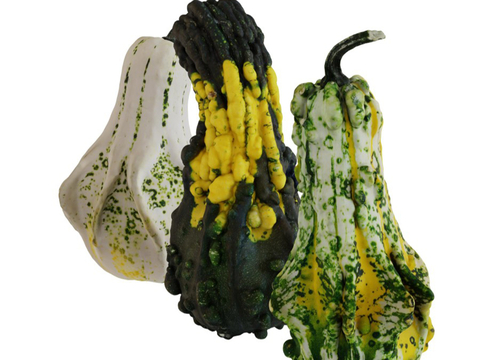 Pumpkin Vegetables