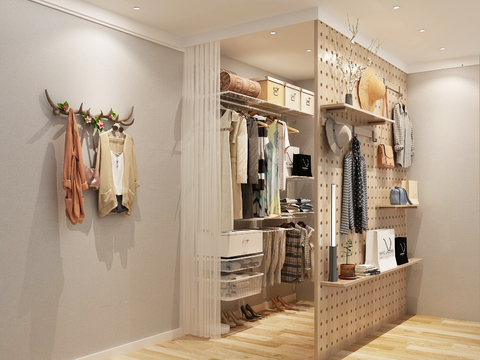 Modern walk-in closet