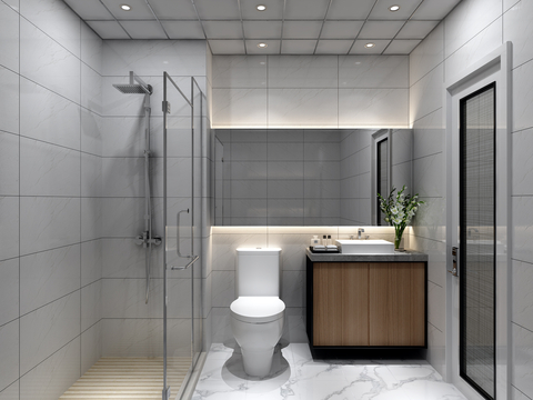 Modern Toilet Bathroom