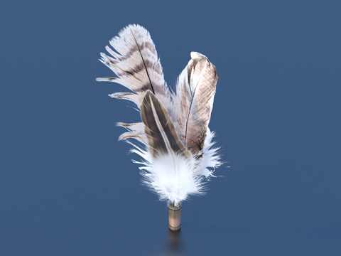 Modern feather ornaments