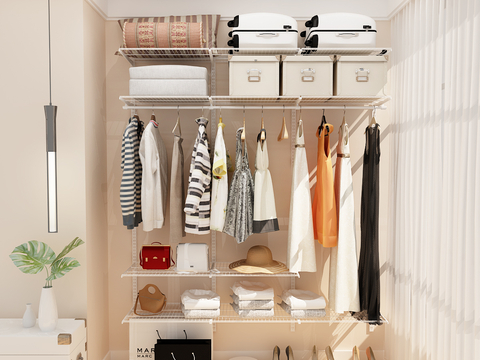 Modern walk-in closet