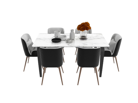 Modern long dining table and chair