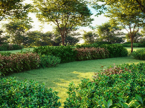 Garden Landscape Hedge Shrub Lawn