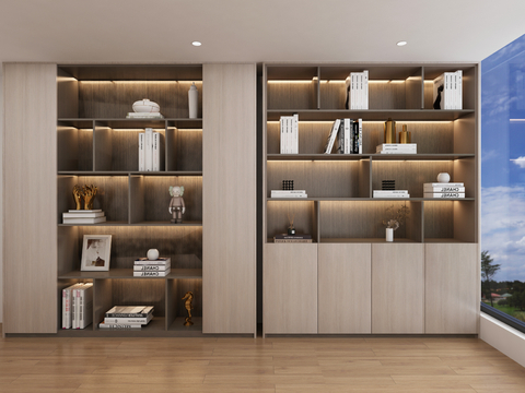 Modern Bookcase Showcase