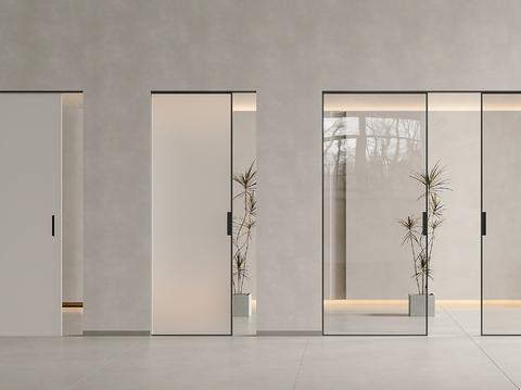 Modern sliding door pocket door ghost door glass door