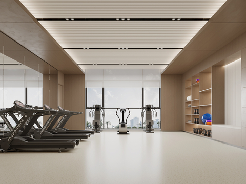 Modern Gym