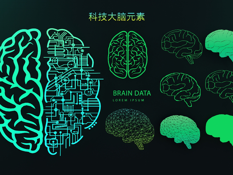 Technology intelligent brain wall decoration bionic brain