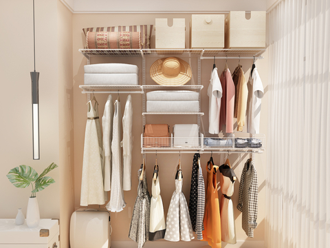 Modern walk-in closet