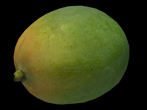 Mango green mango fruit