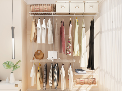 Modern walk-in closet