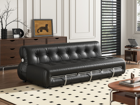 Couch leather sofa