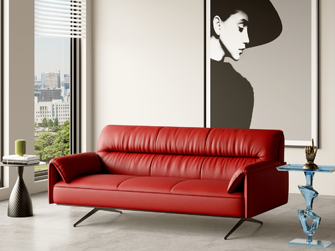 Leather sofa Couch