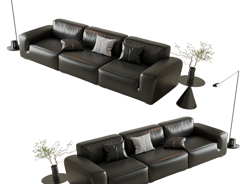 Couch leather sofa