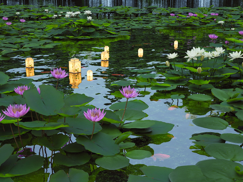 Neo-Chinese Style Lotus Pond Lotus Pond River Lamp