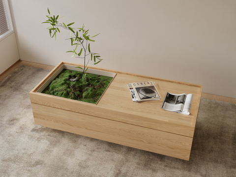 Nordic Coffee Table Ecological Coffee Table