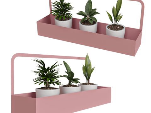 Wall-mounted storage rack small potted plant