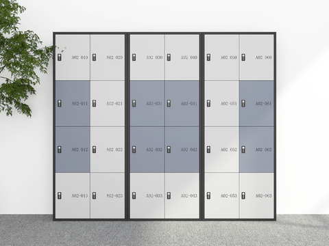 Modern Locker Locker