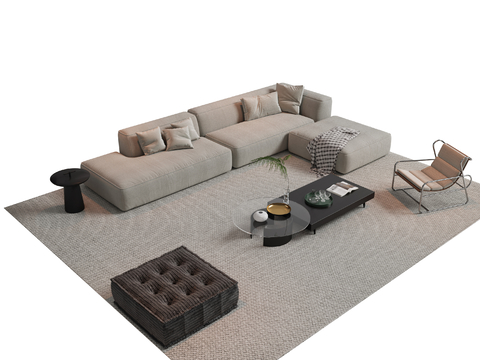 Modern sofa combination