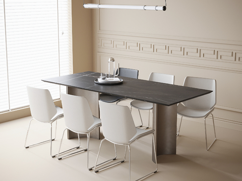 Modern long dining table and chair