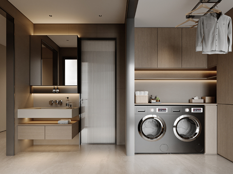 Modern Toilet Laundry Room