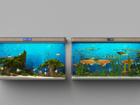 modern aquarium aquarium