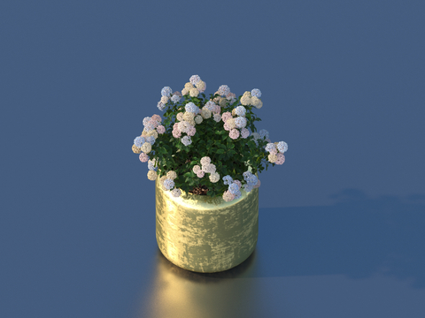 flowerpot small potted plant