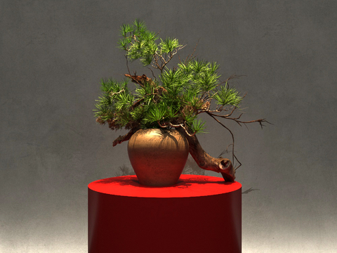 New Chinese Zen Bonsai