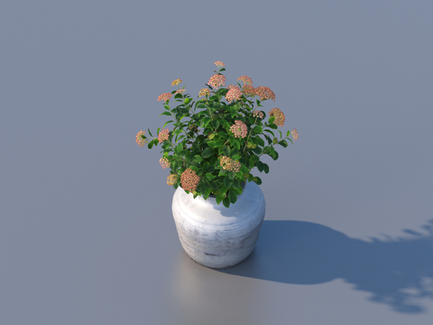 flowerpot small potted plant