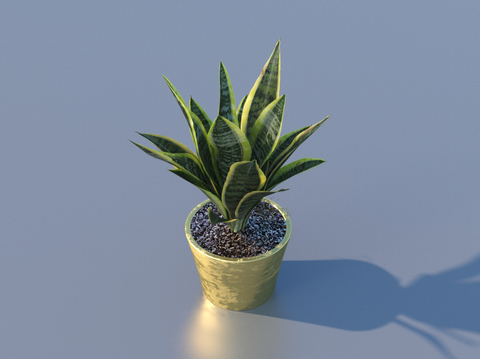 flowerpot potted plant green plant