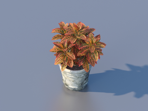 flowerpot potted autumn leaf potted plant