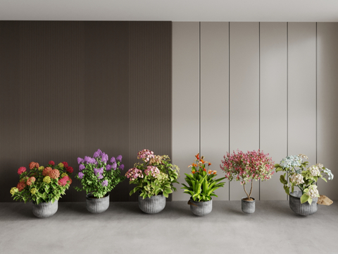 flowers potted plants bonsai flowers