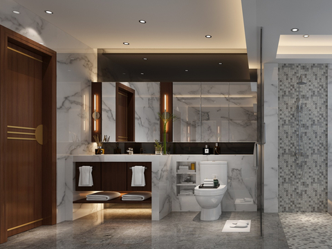 Modern Toilet Bathroom