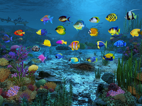 Modern Underwater World Landscape